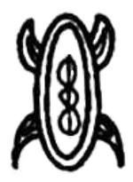 Rongorongo Script