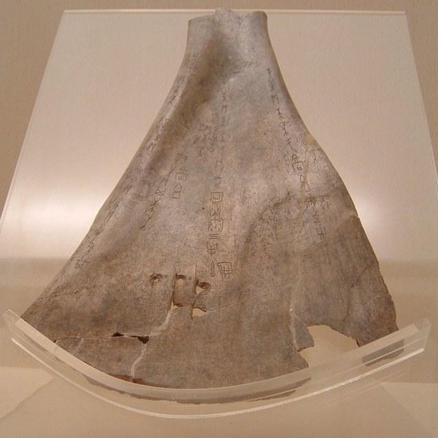 Oracle Bones