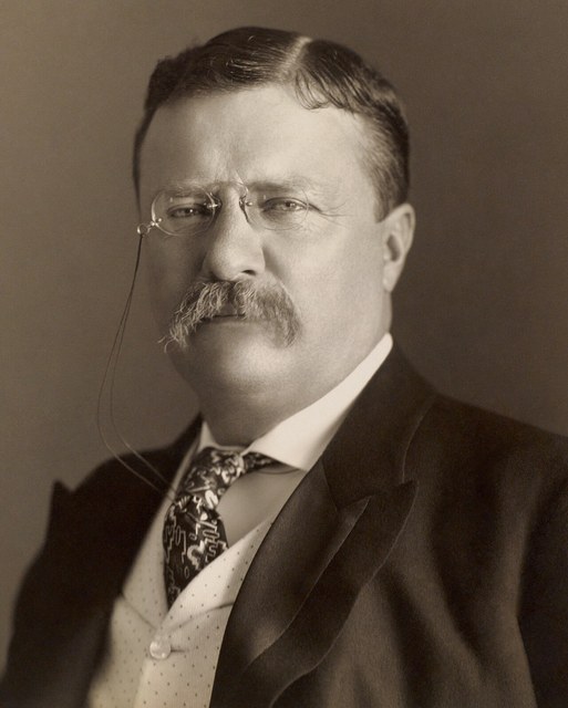 Theodore Roosevelt
