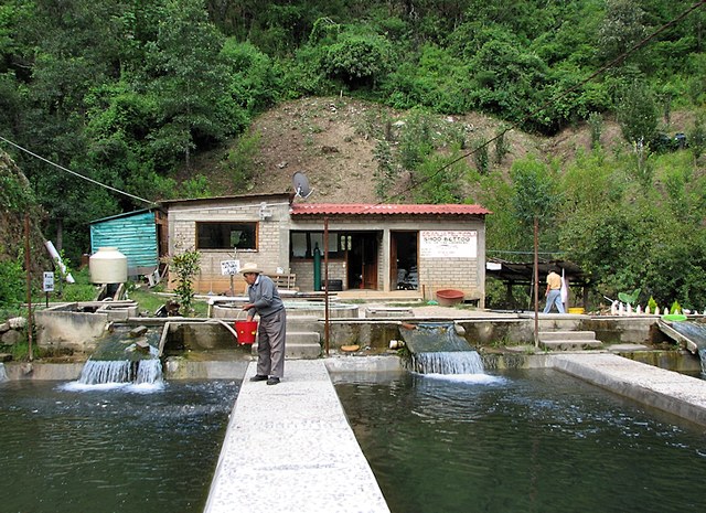 Zapotecs